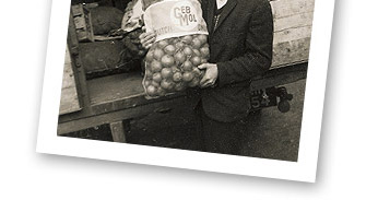 osheas family business